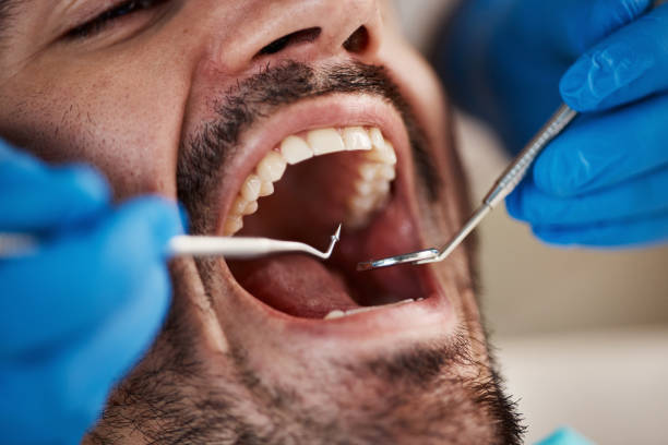 Best Walk-In Dentist Near Me  in Pinckney, MI